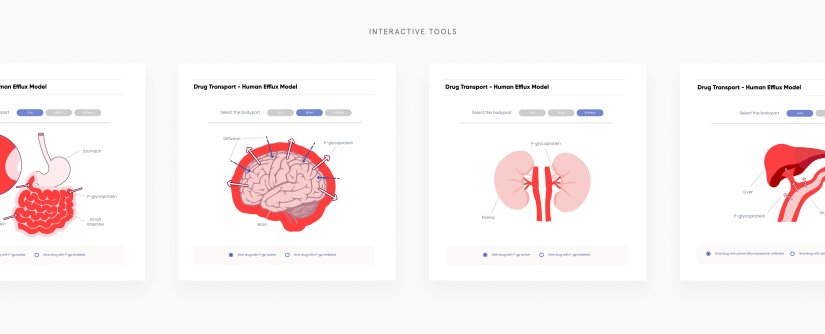 Interactive Tools