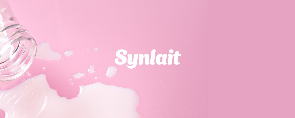 Synalit Casestudy 2 1611696706