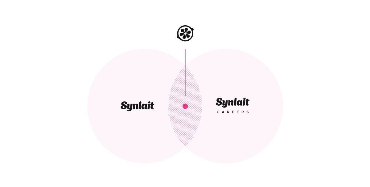 Synalit Casestudy 3 (1)