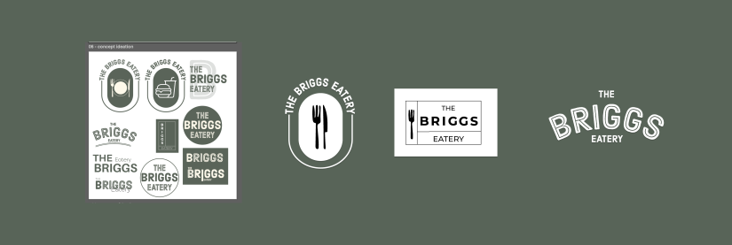 the Briggs Image2